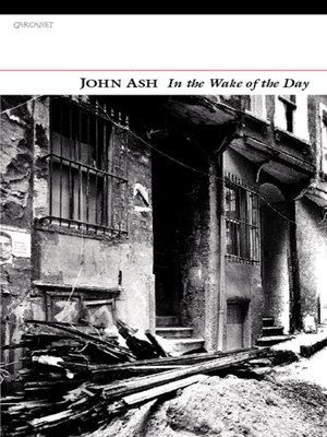 cover image of In the Wake of the Day